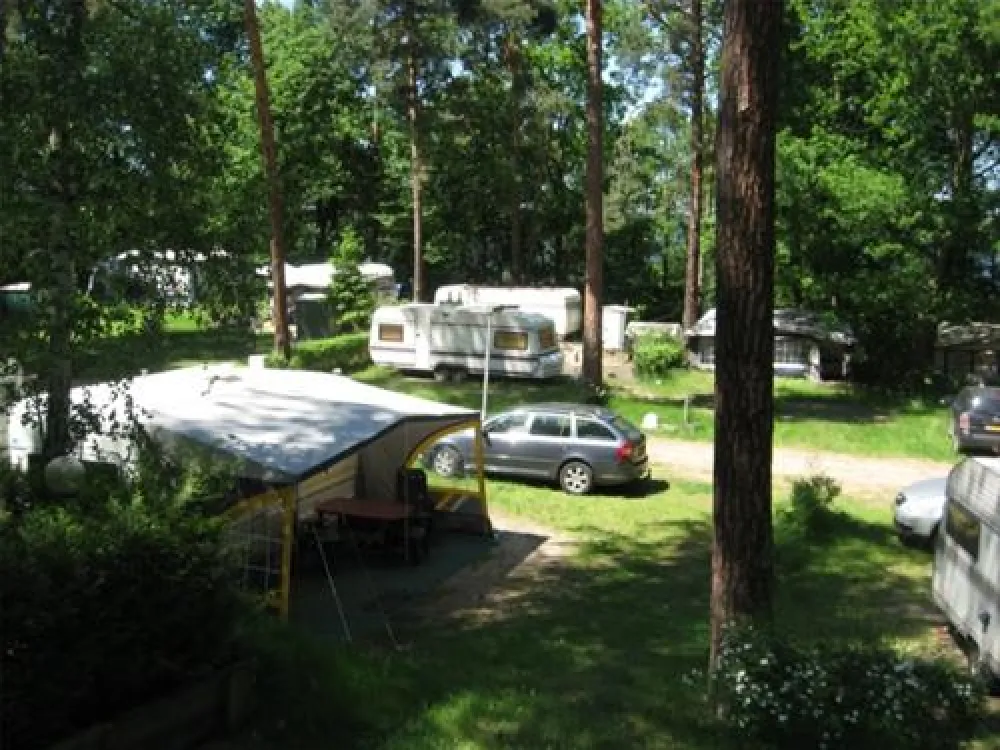 Schwielowsee Camping