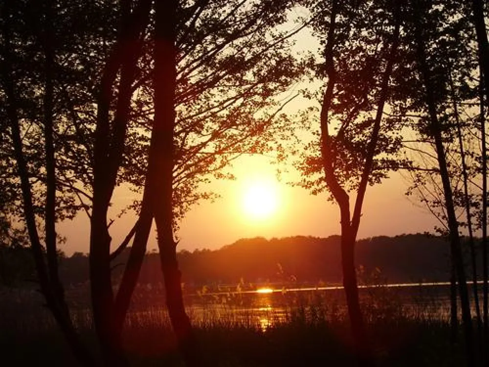 Schwielowsee Camping