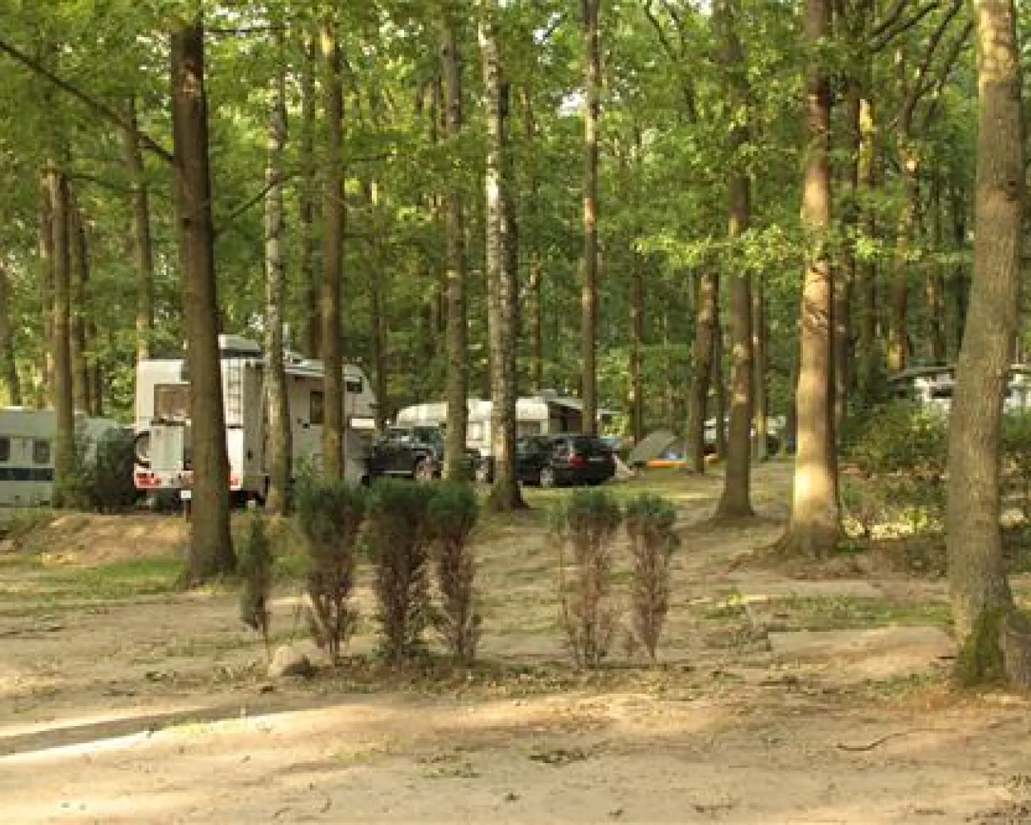 Schwielowsee Camping in Deutschland - Spottocamp - Spottocamp