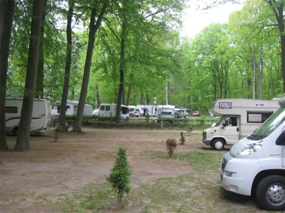 Schwielowsee Camping