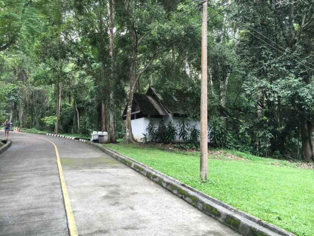 Doi Suthep-Pui National Park