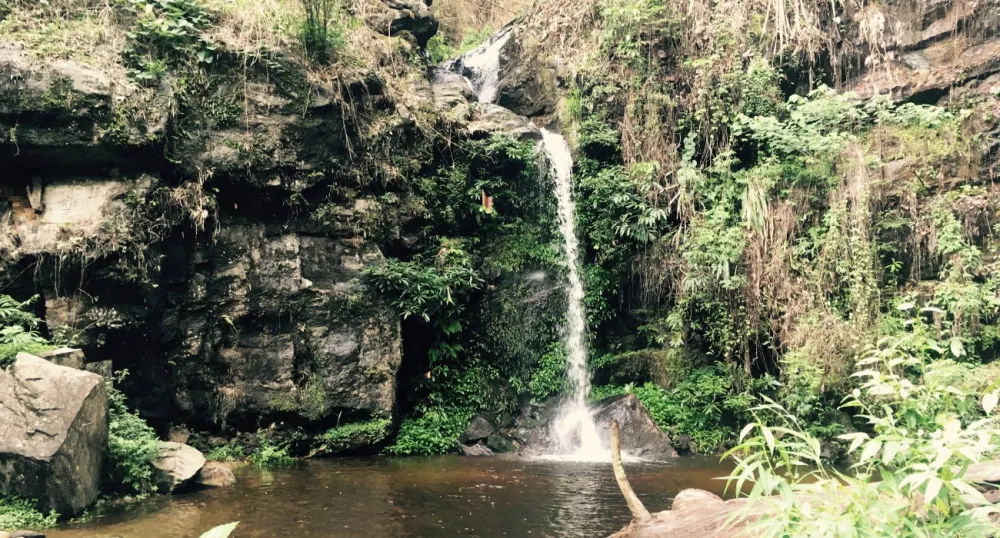 Doi Suthep-Pui National Park