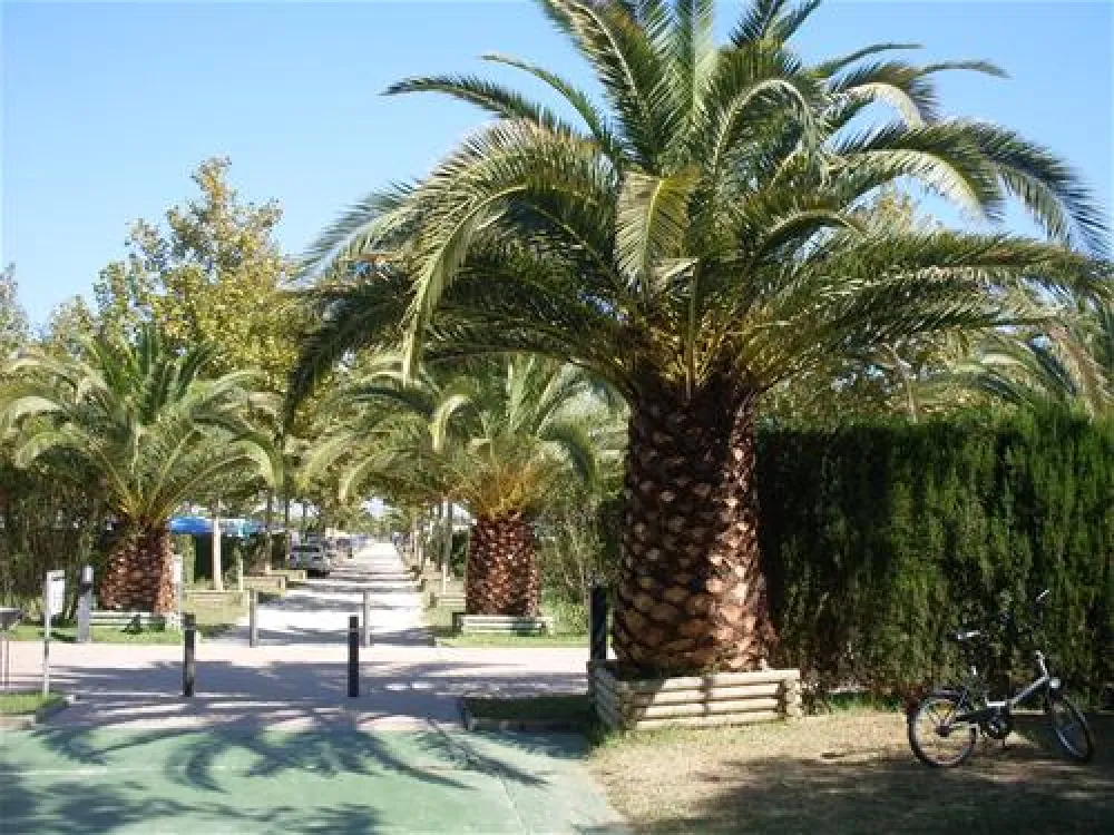Camping - Bungalowpark Las Dunas Costa Brava
