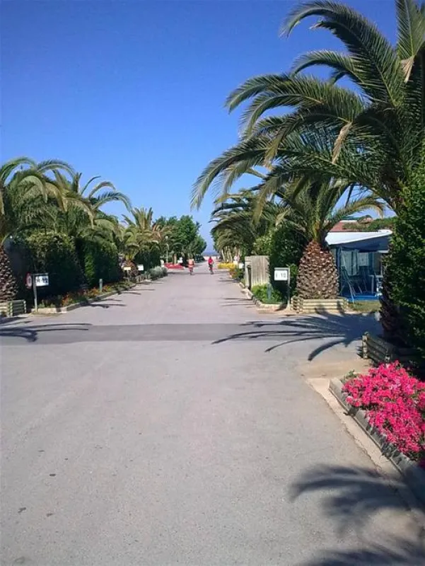 Camping - Bungalowpark Las Dunas Costa Brava