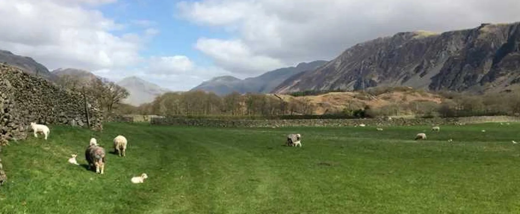 Church Stile Farm and Holiday Park