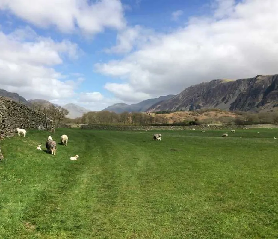 Church Stile Farm and Holiday Park