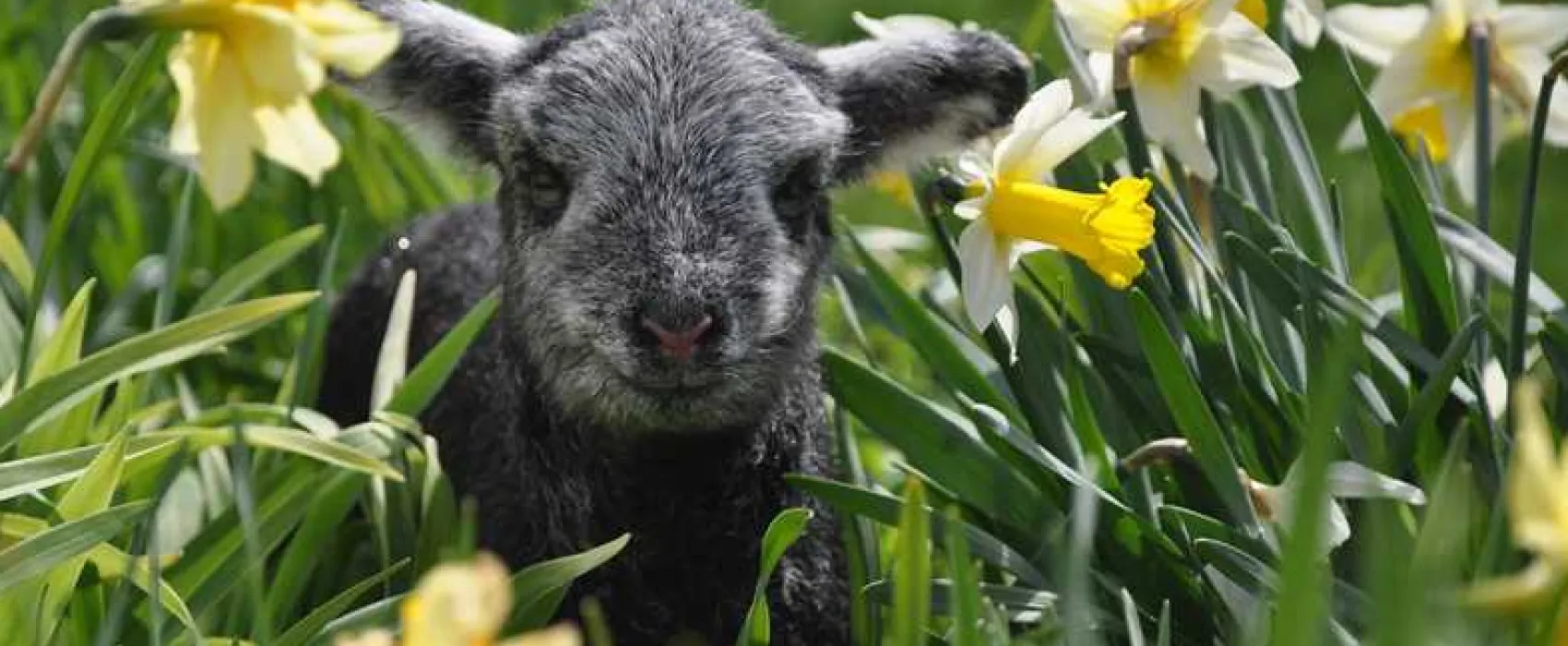 Church Stile Farm and Holiday Park