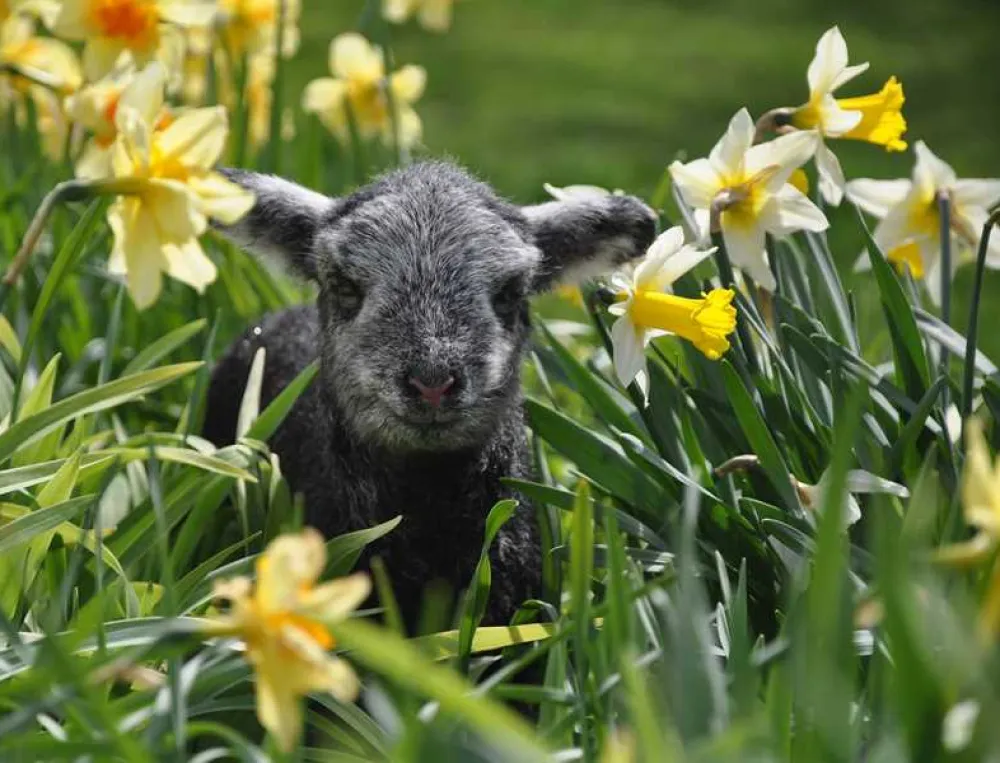 Church Stile Farm and Holiday Park