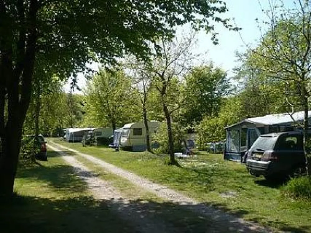 Ringkøbing Camping