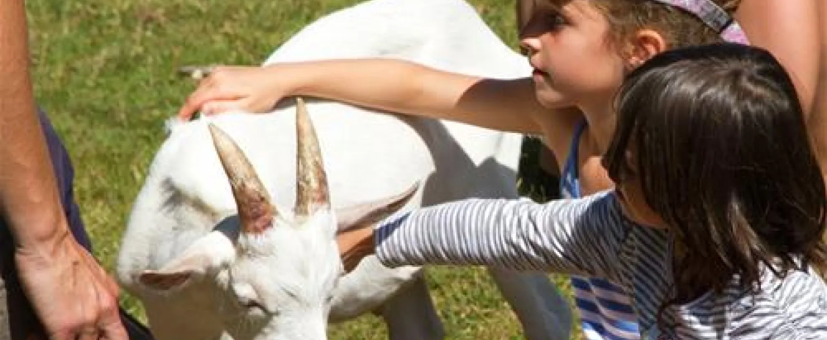 Yelloh! Village Le Bout du Monde