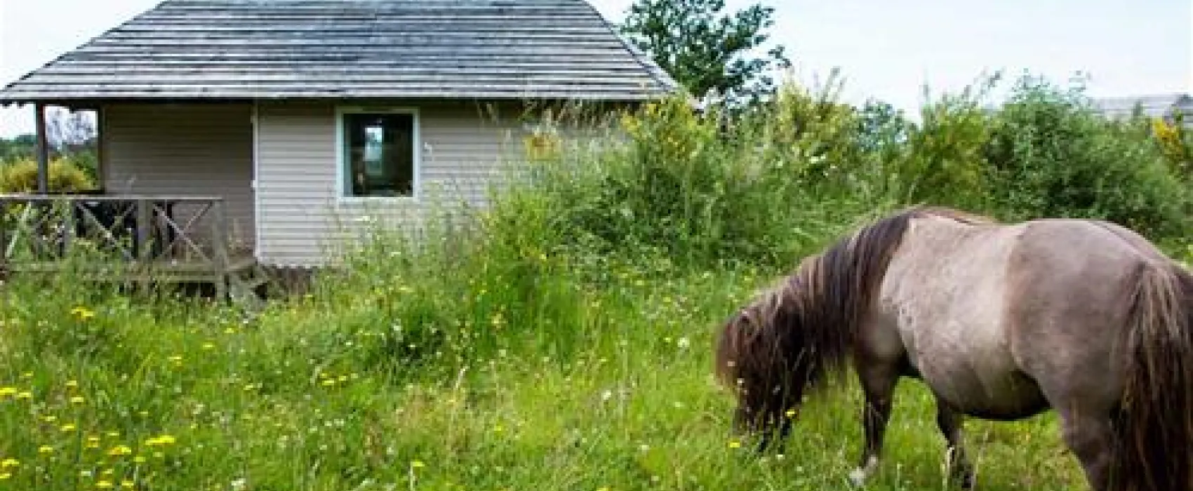 Yelloh! Village Le Bout du Monde