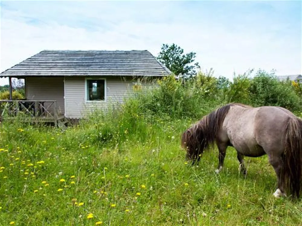 Yelloh! Village Le Bout du Monde