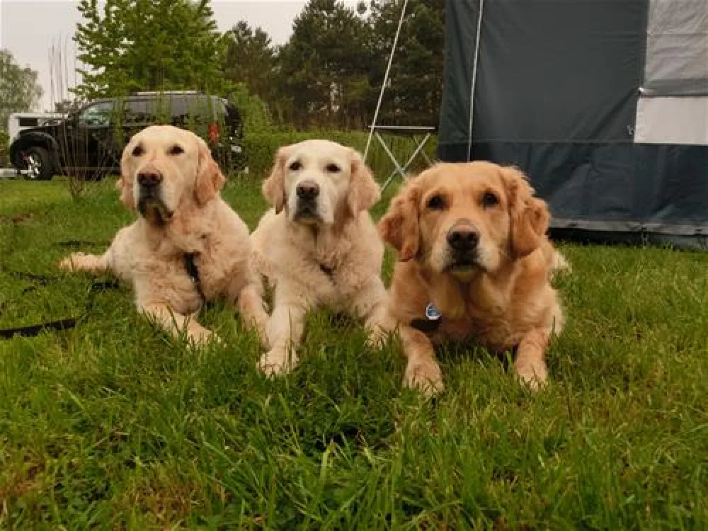 Spreewald-Natur Camping am See