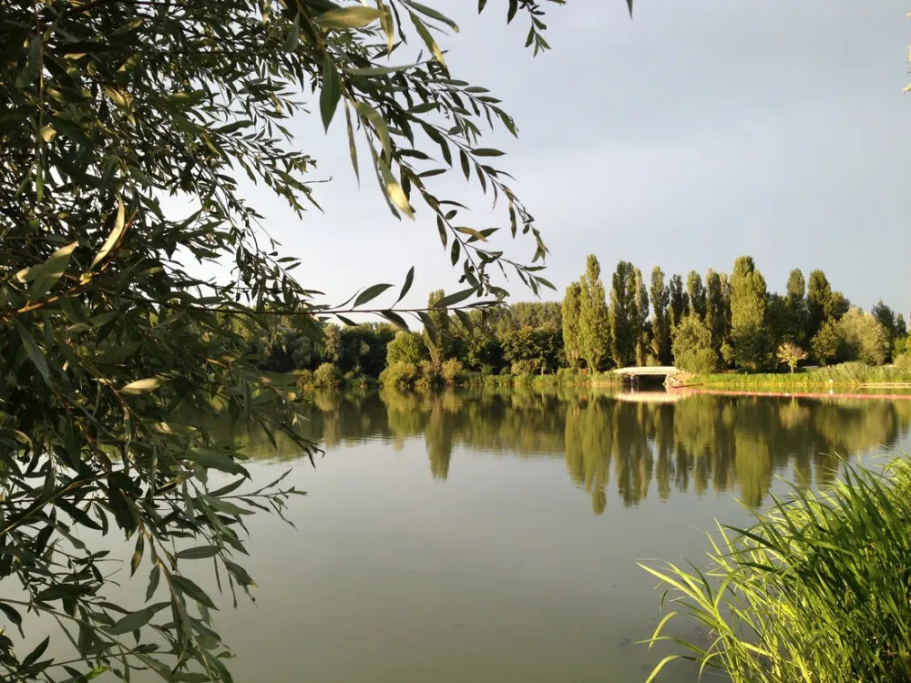 International du Lac