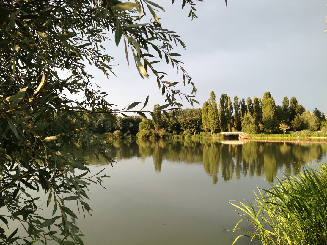International du Lac photo 2