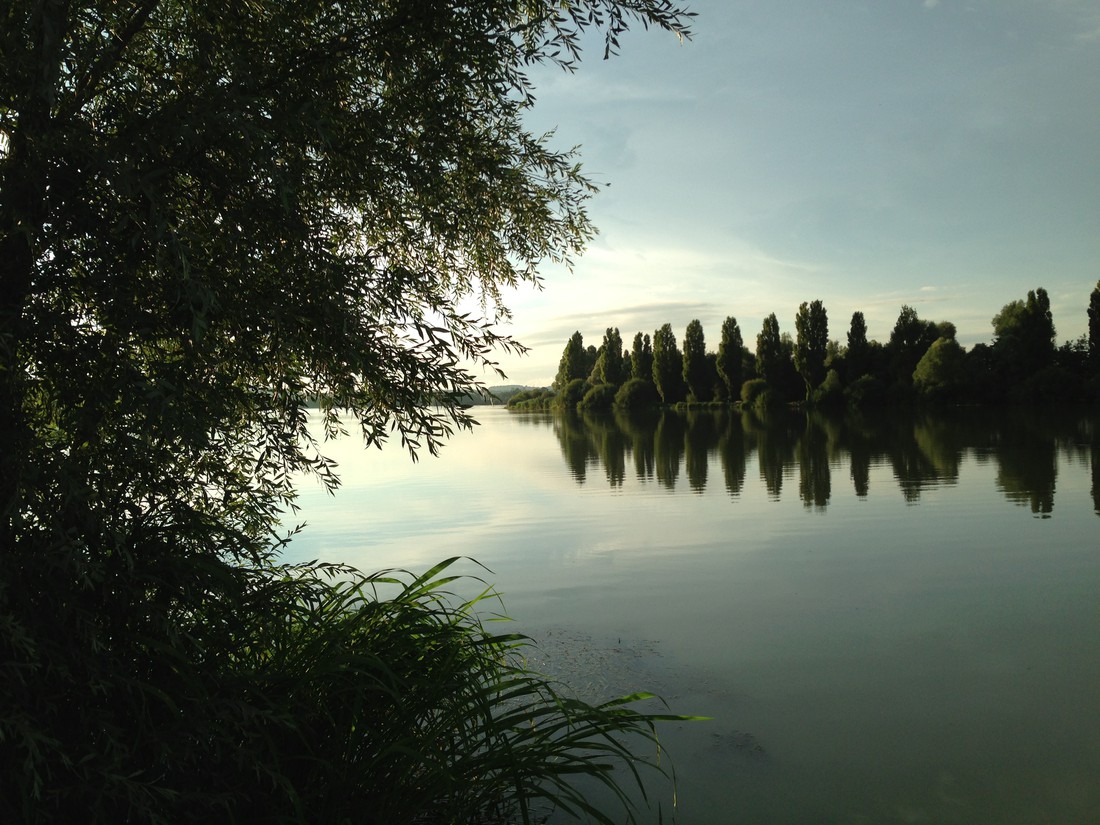 International du Lac - Photo 3