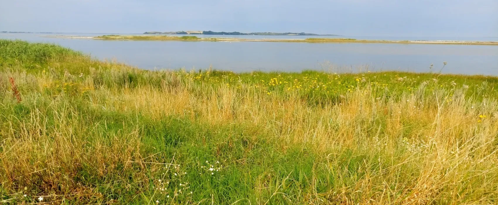 DCU-Camping Sanddobberne