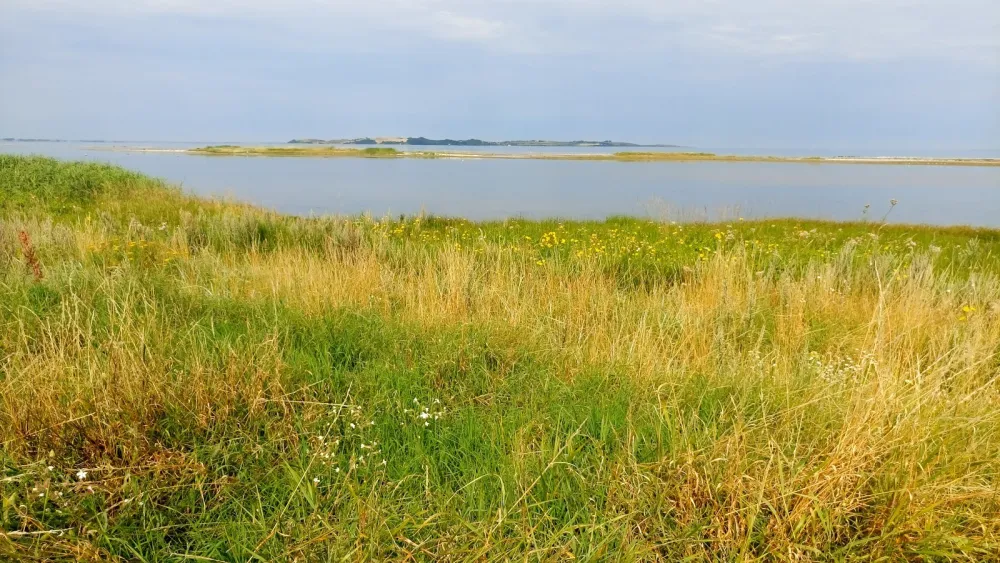 DCU-Camping Sanddobberne