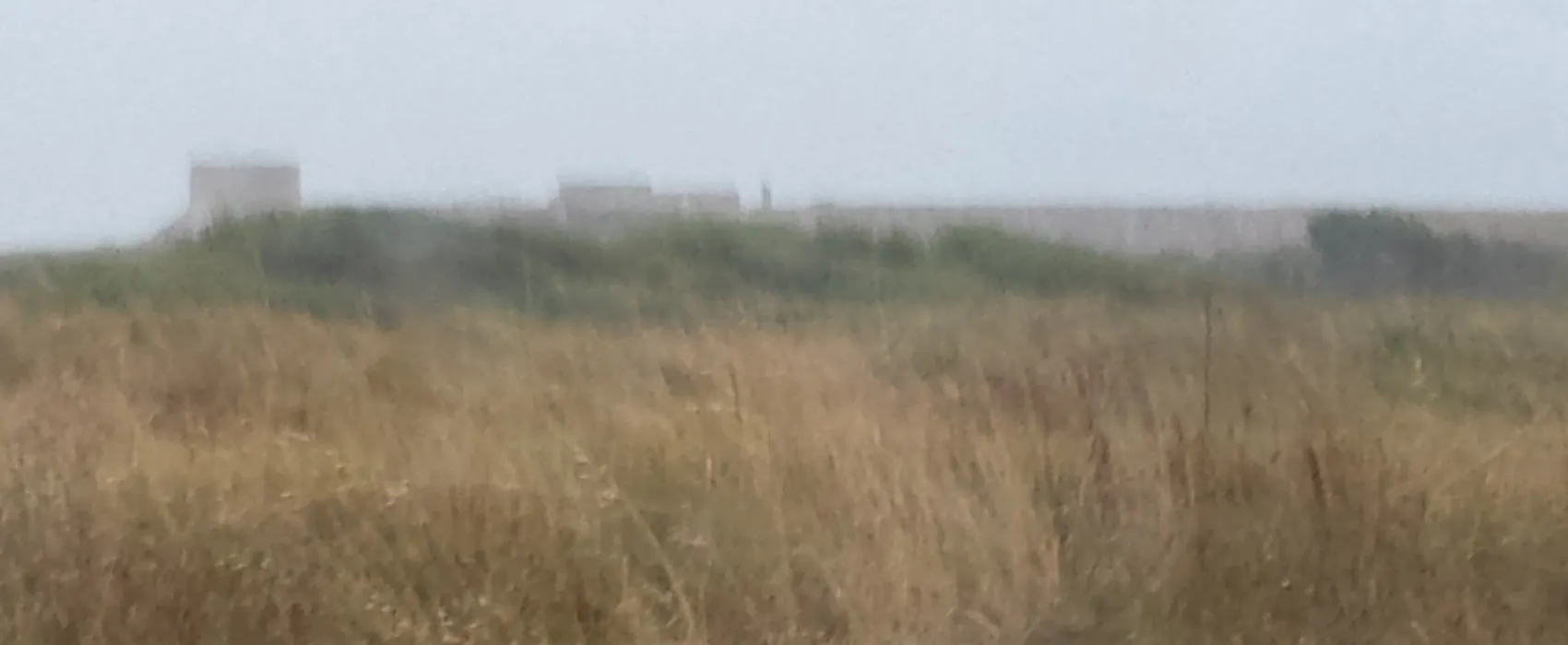 Camping Municipal De La Palue De Kerguellec