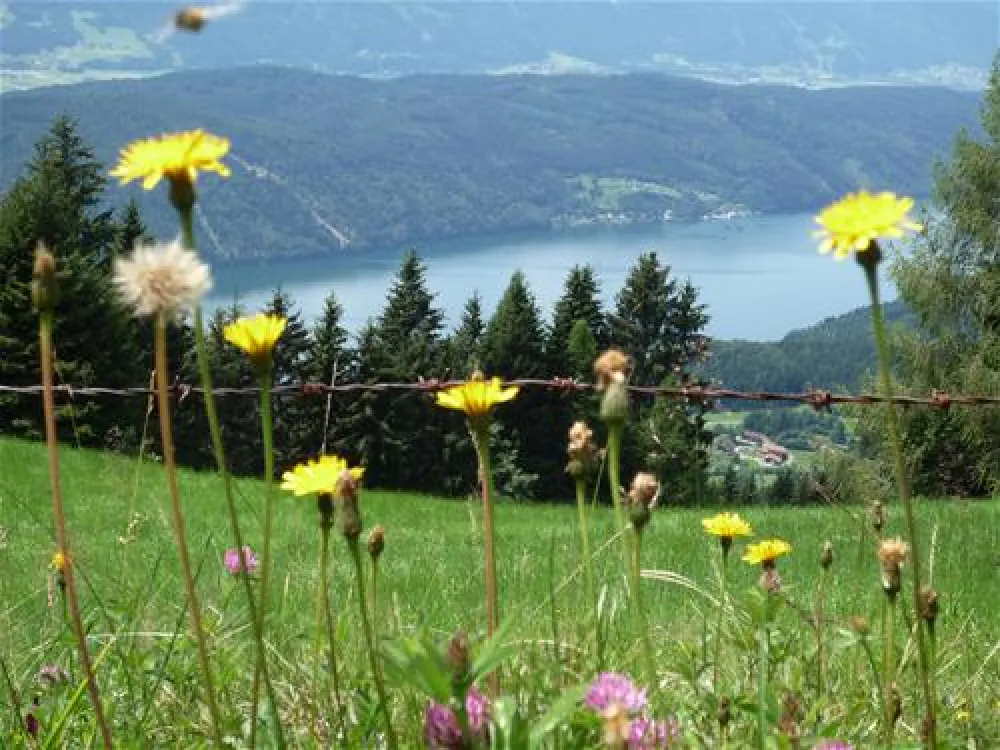 Camping Brunner am See