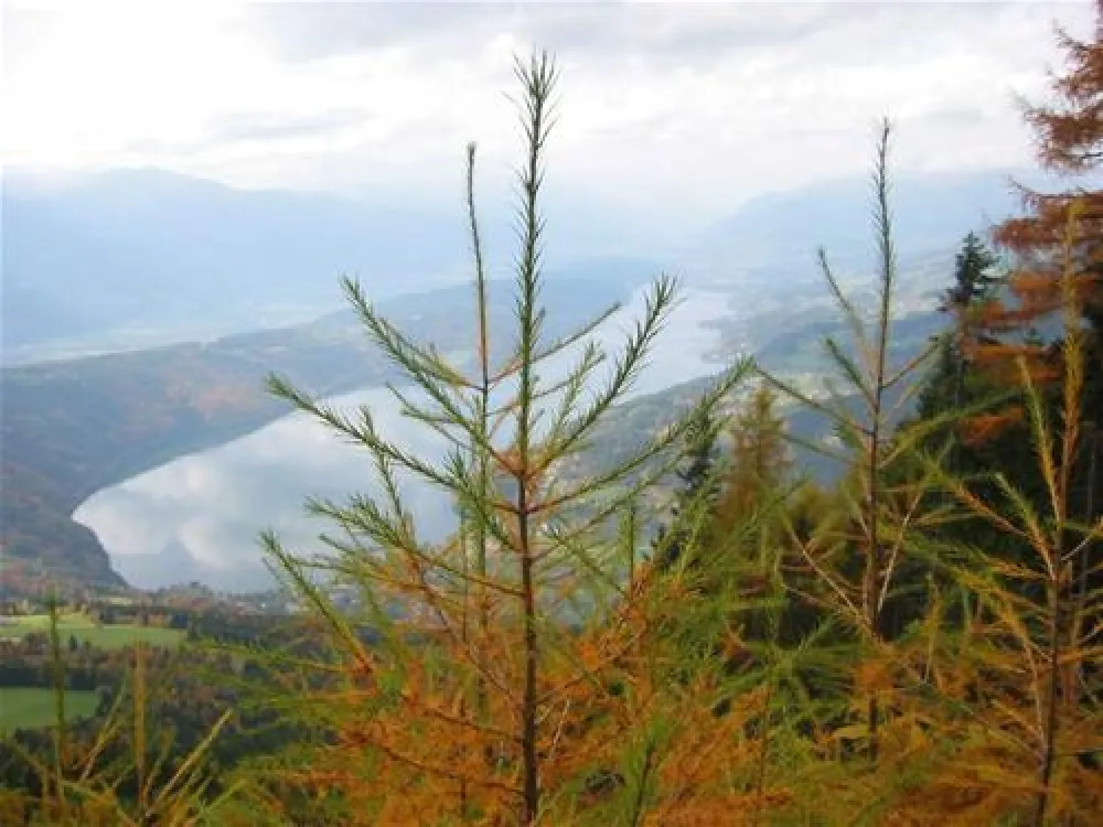 Camping Brunner am See