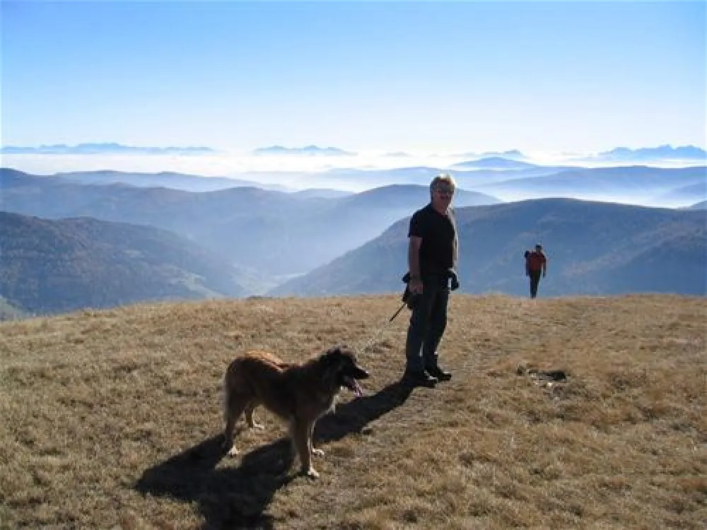 Camping Brunner am See