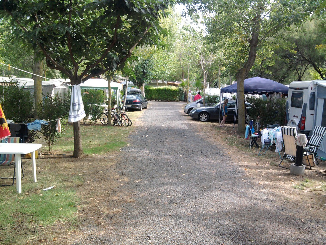 Camping Les Salisses photo 4