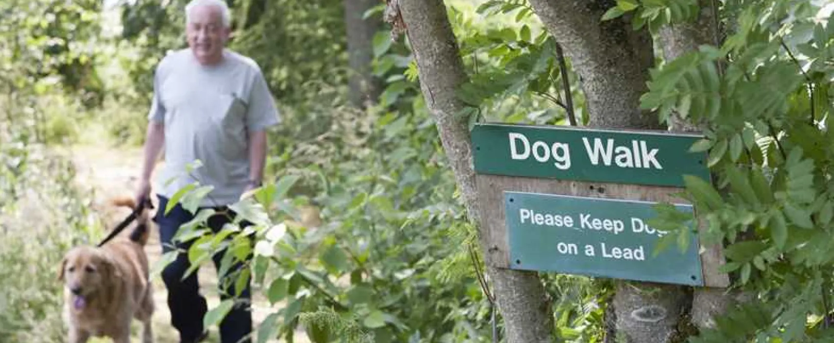 Scone Camping and Caravanning Club Site