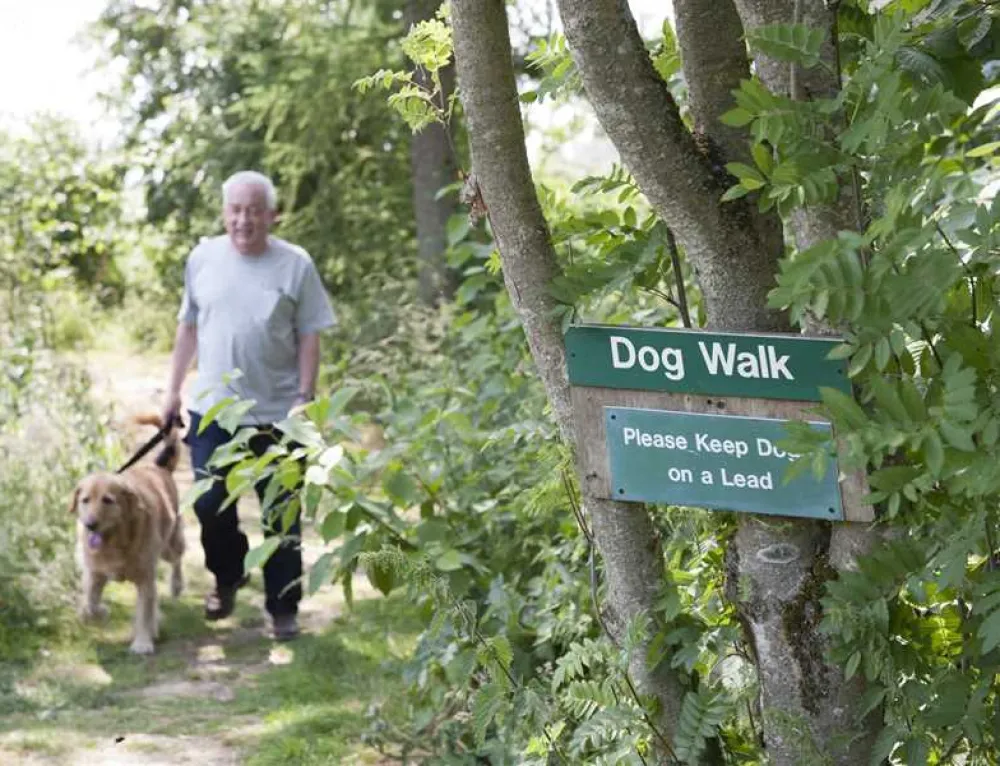 Scone Camping and Caravanning Club Site