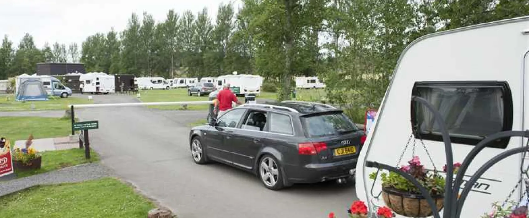 Scone Camping and Caravanning Club Site