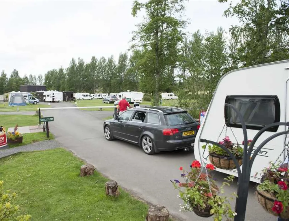 Scone Camping and Caravanning Club Site