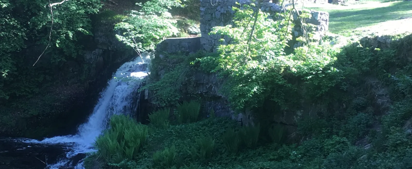 Ekogården Ställplats