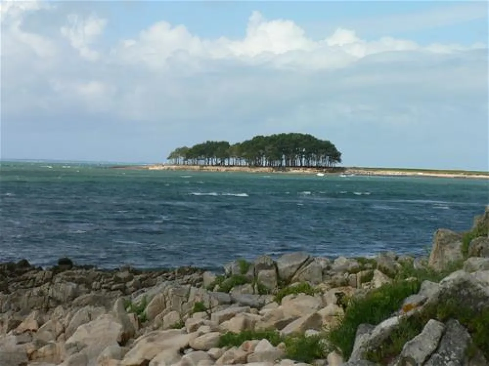 Camping Municipal La Falaise