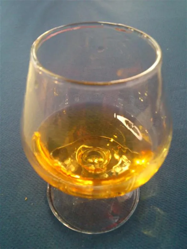 Camping el Globo Rojo