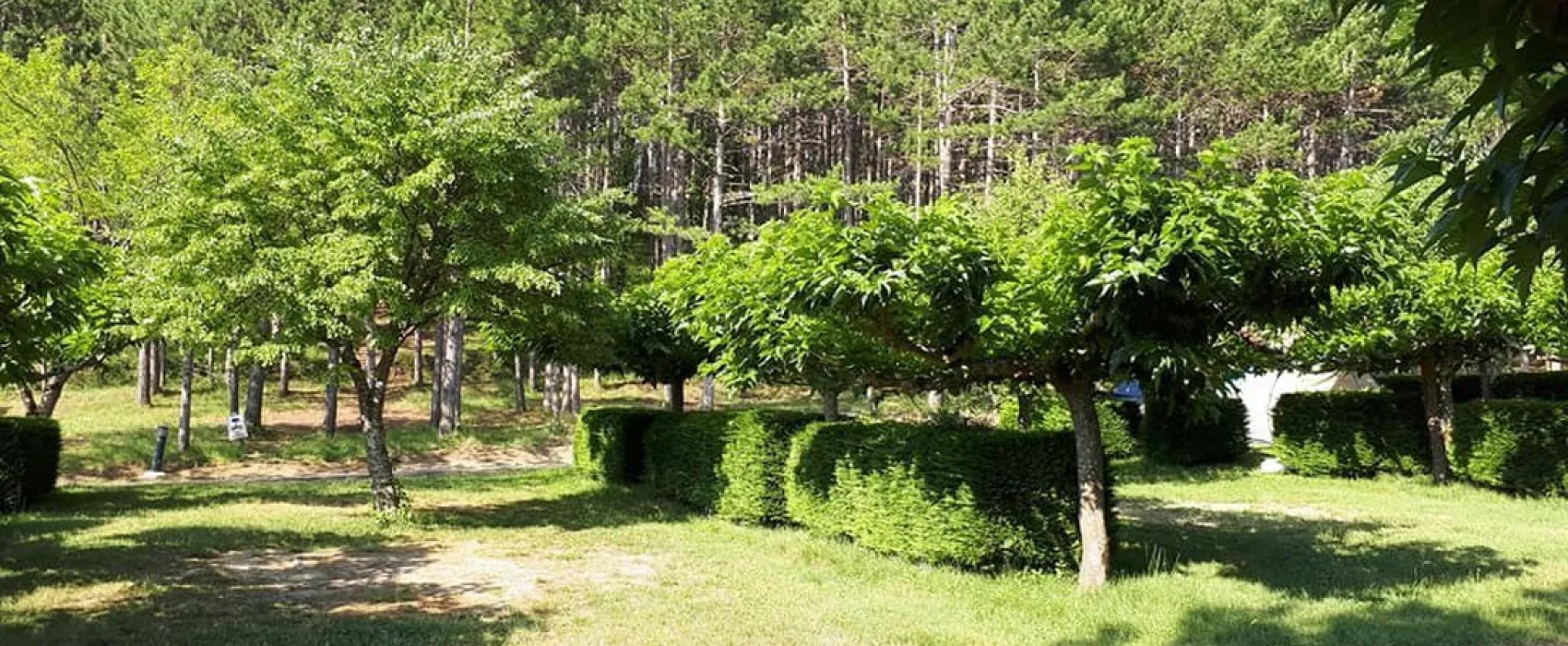 Camping Municipal La Sapinette  