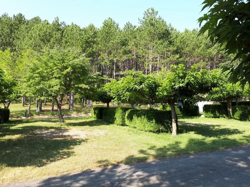 Camping Municipal La Sapinette  