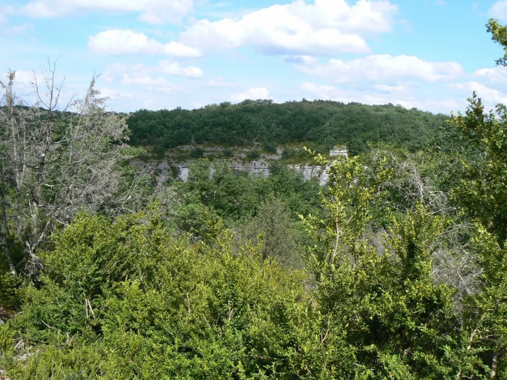 Camping Naturiste Domaine de Lalbrade
