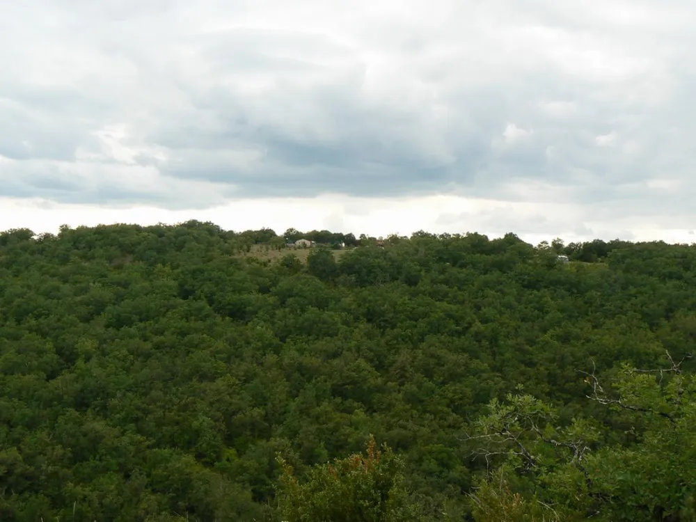 Camping Naturiste Domaine de Lalbrade