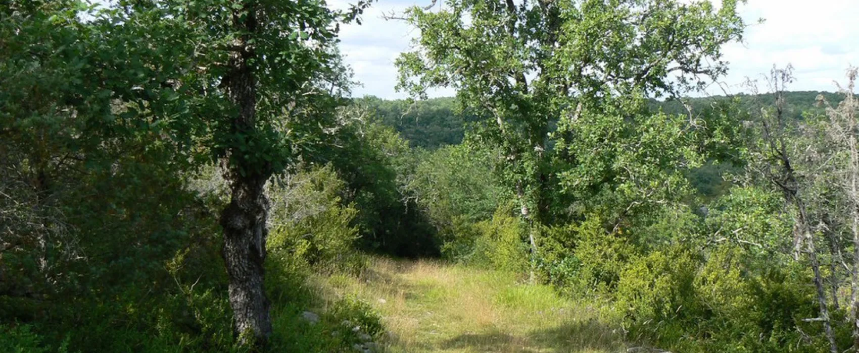 Camping Naturiste Domaine de Lalbrade