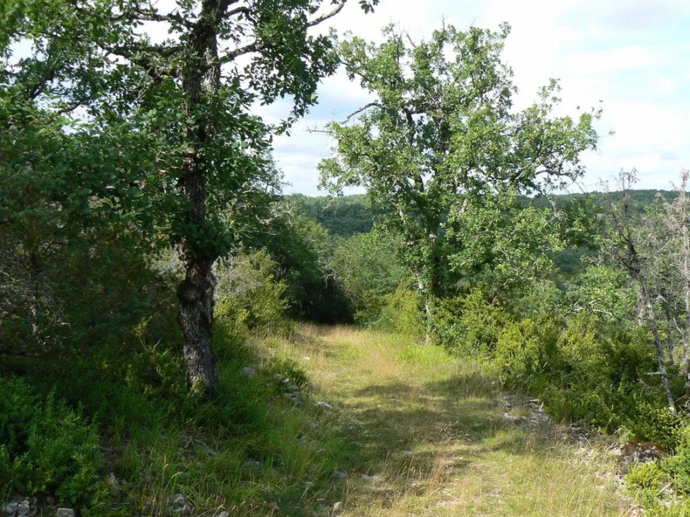 Camping Naturiste Domaine de Lalbrade