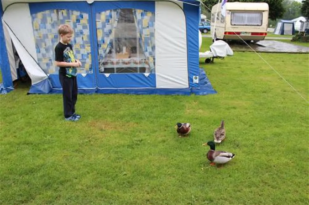 Rheincamping Siebengebirgsblick