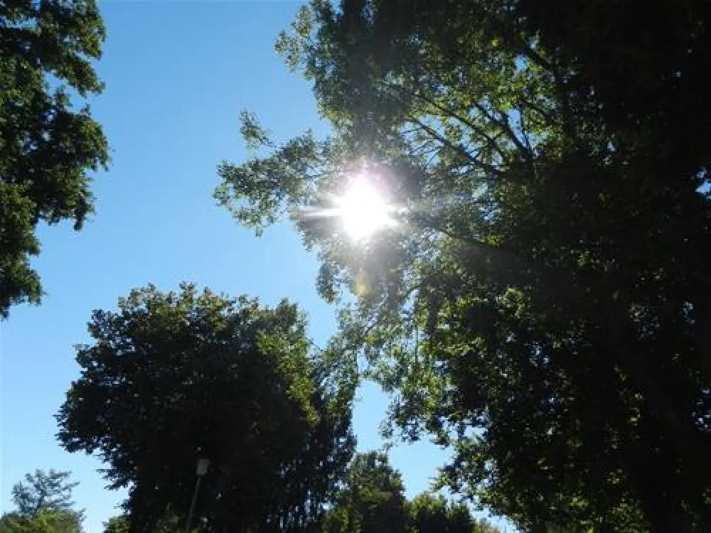 Strandcamping Waging am See