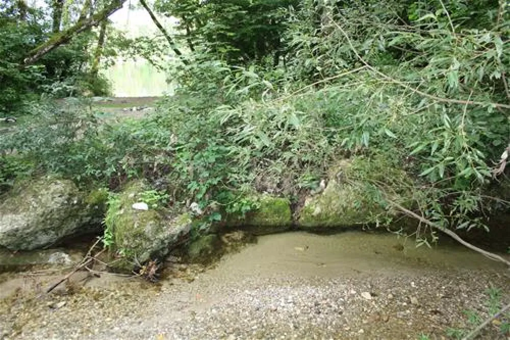 Strandcamping Waging am See