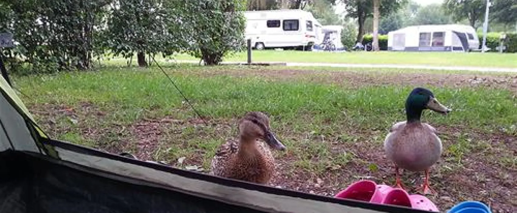 Strandcamping Waging am See