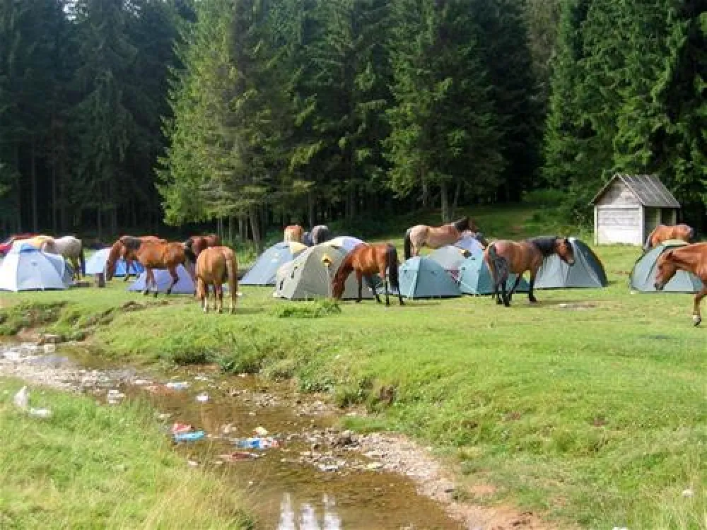 Camping Poiana Glavoi