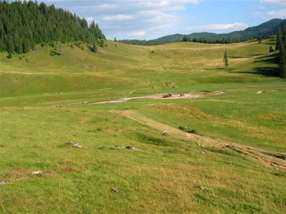 Camping Poiana Glavoi