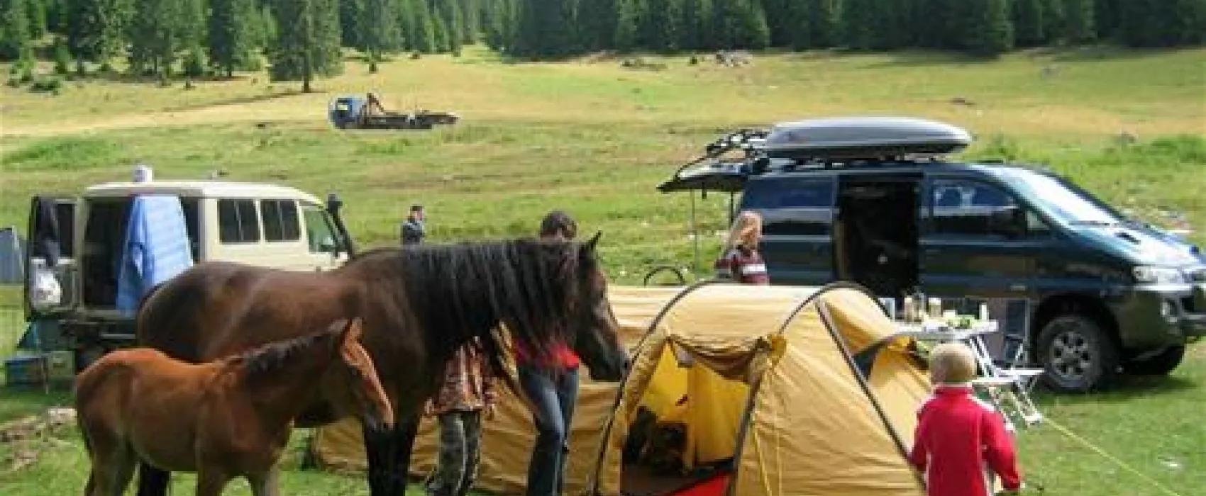 Camping Poiana Glavoi