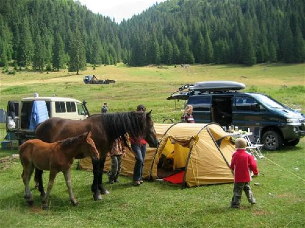 Camping Poiana Glavoi