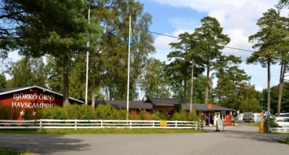 Björkö-örn Reception