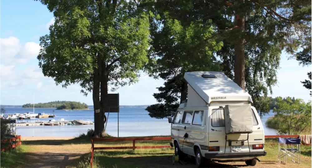 Björkö-örn Reception